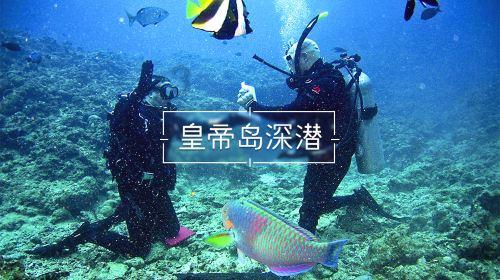 央视都看好的《奔跑人生》，却被观众要求停播下架，为何骂声一片